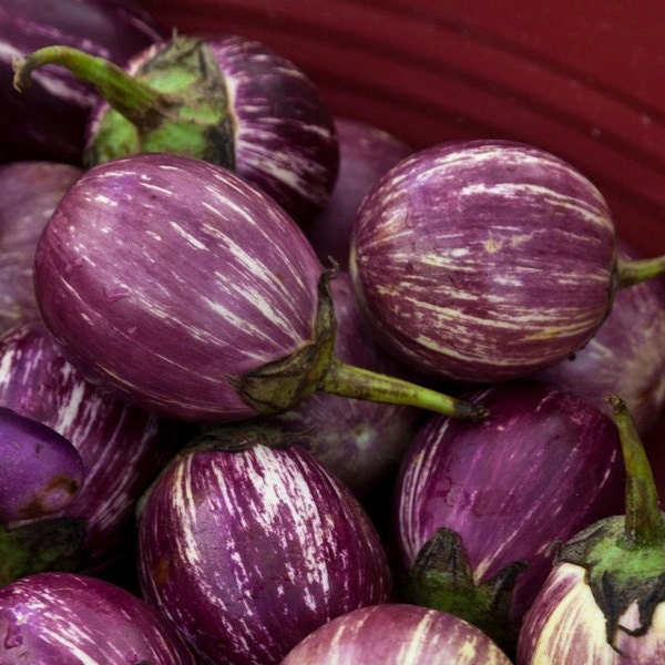 Organic Italian Pinstripe Eggplant Aubergine Seeds by starlingcow