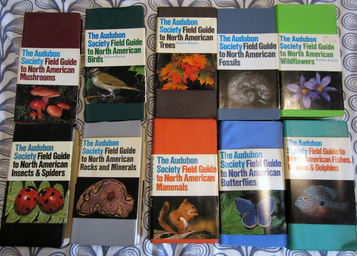 The Audubon Society Field Guide Books By Callmeanytimevintage