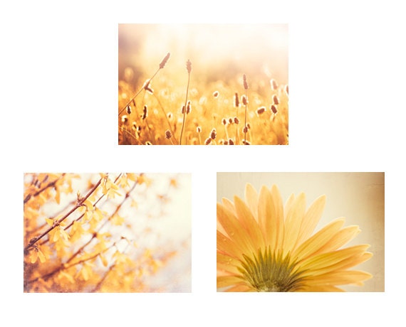 Set of Three 5x7 Nature Photographs - yellow gold color photography flower floral wall art - branch print set branches spring photo set