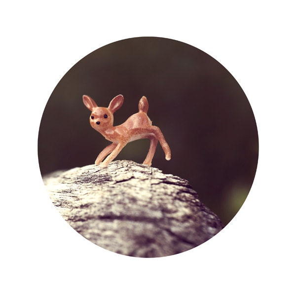 Deer Woodland Photography - 8x10 circle photograph print - frolicking fawn macro forest autumn children nursery decor 'Skippy the deer'