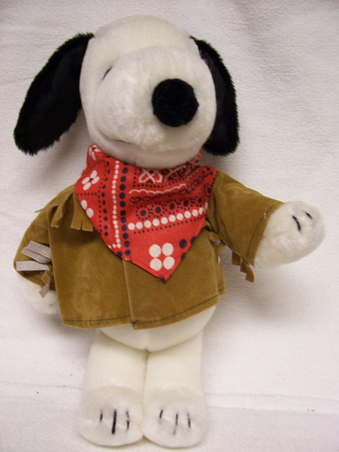 jack russell teddy