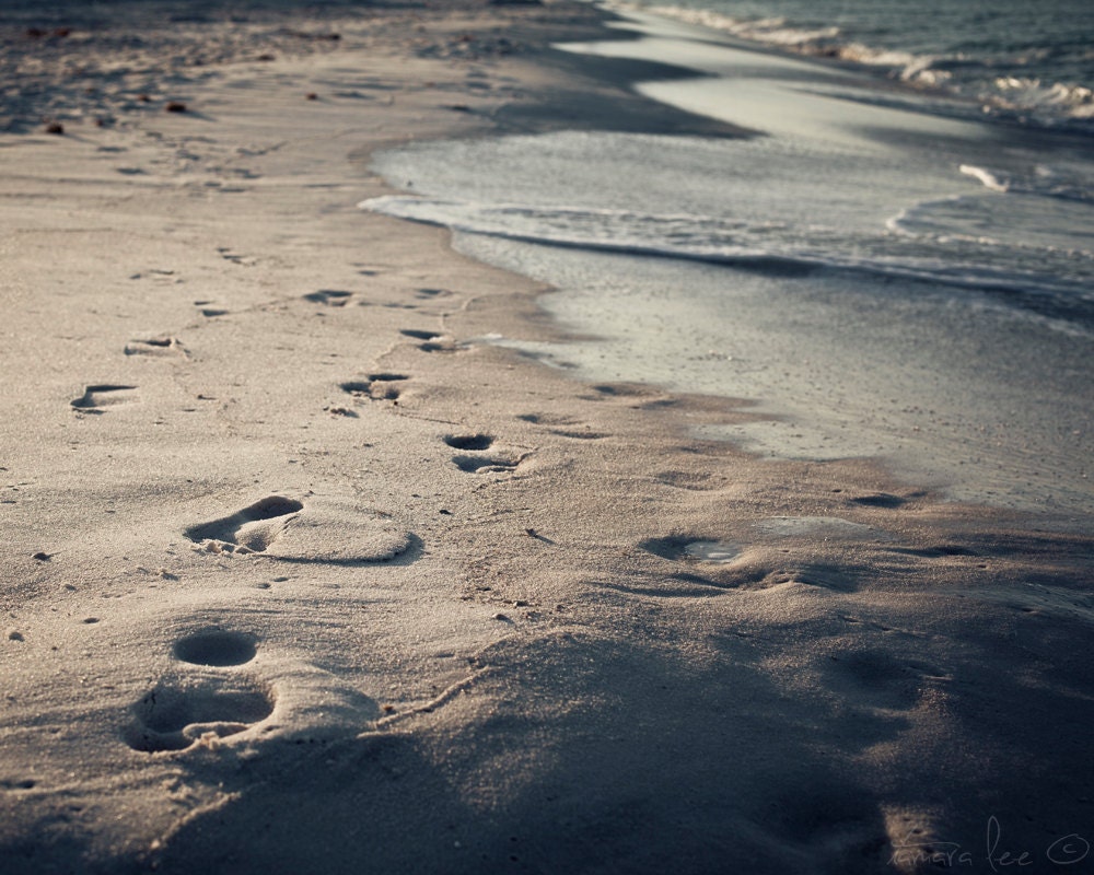Water's Edge - Beach and Ocean Photography 5x7