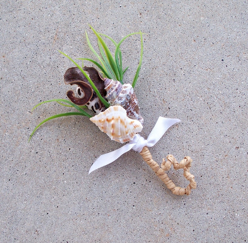 Men's seashell boutonniere with natural elements, greenery and raffia stem