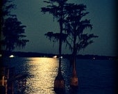 Moonlit Reflections 8x10 Photo Print - ItRunsInTheFamily