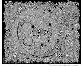 PSYART Postcards No2 (17.7cm 15.01cm) 'Perseus Amongst the Spheres' (Northern Hemisphere)