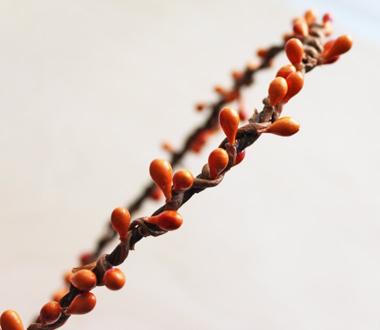Orange Berries flower crown,  Wedding.Orange Twigs, Spring, bridesmaids