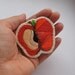 Back to school teacher gift red apple slice brooch embroidered