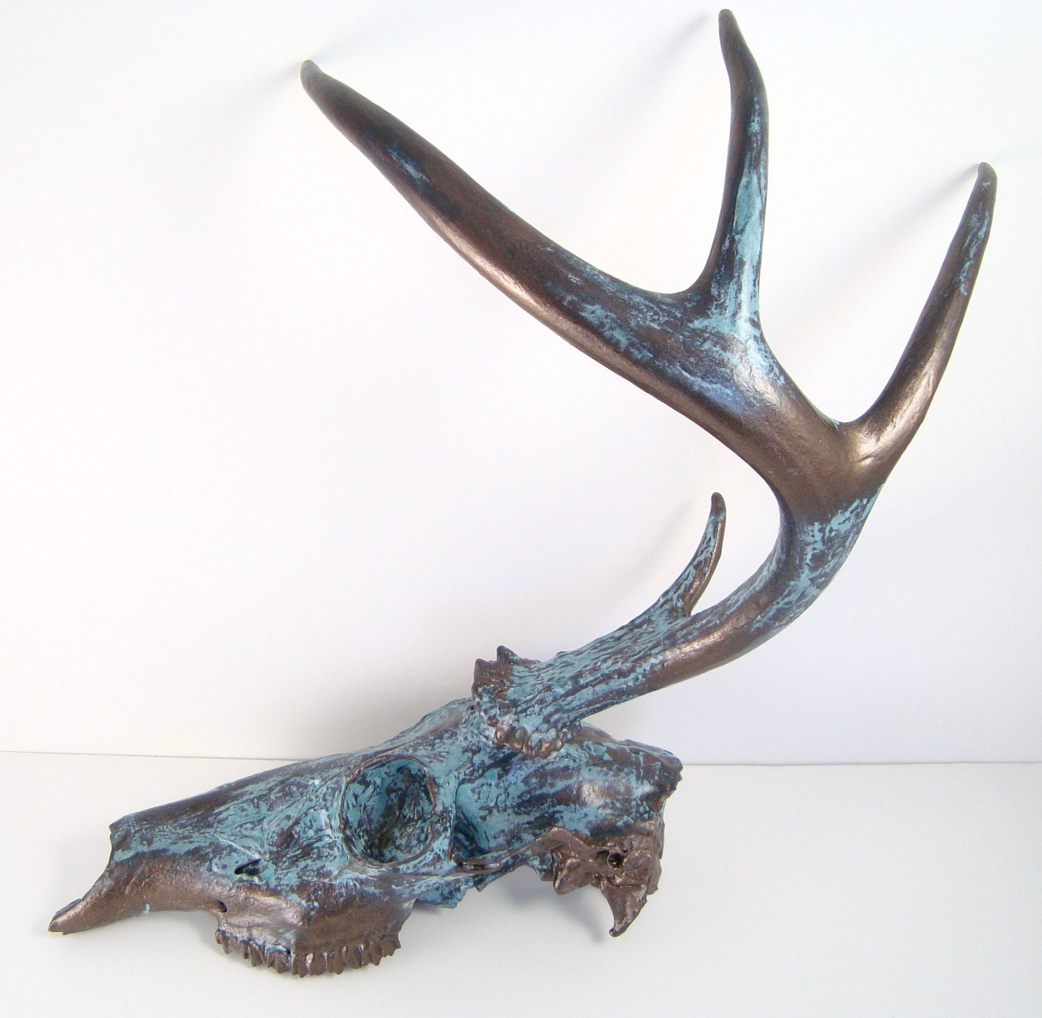 Deer Skull Taxidermy Bronze Aged Natural by MayaJadeCreations