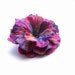 felted flower brooch hand felted brooch wool gift for her unique gift