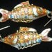 SALE Vtg Cloisonne Fish Earrings have 10 jointed body sections which move, done in a Coppery Orange with Turquoise and Pearly White Accents