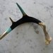 Antler Art Sculpture. Turquoise. Black. Gold.