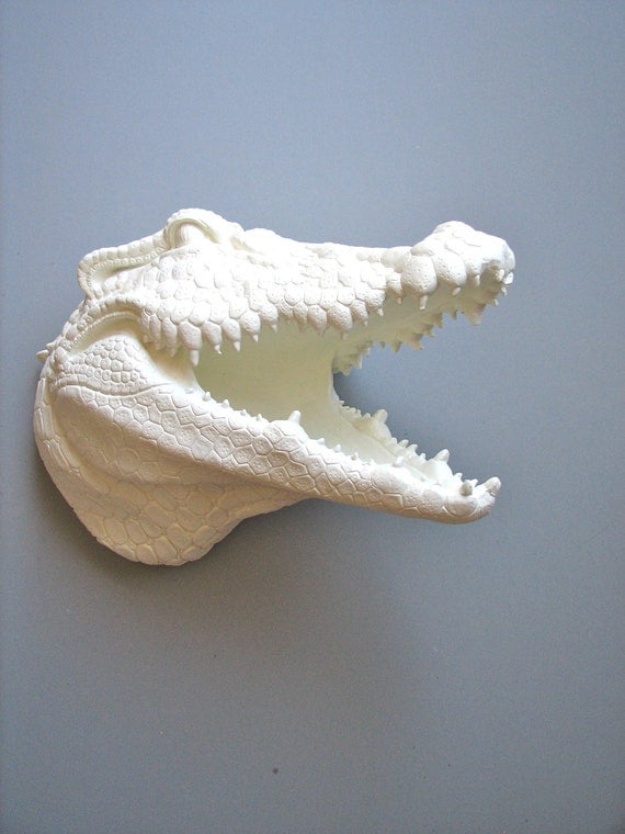 Faux Taxidermy Alligator Head Wall Mount: Angus the Alligator