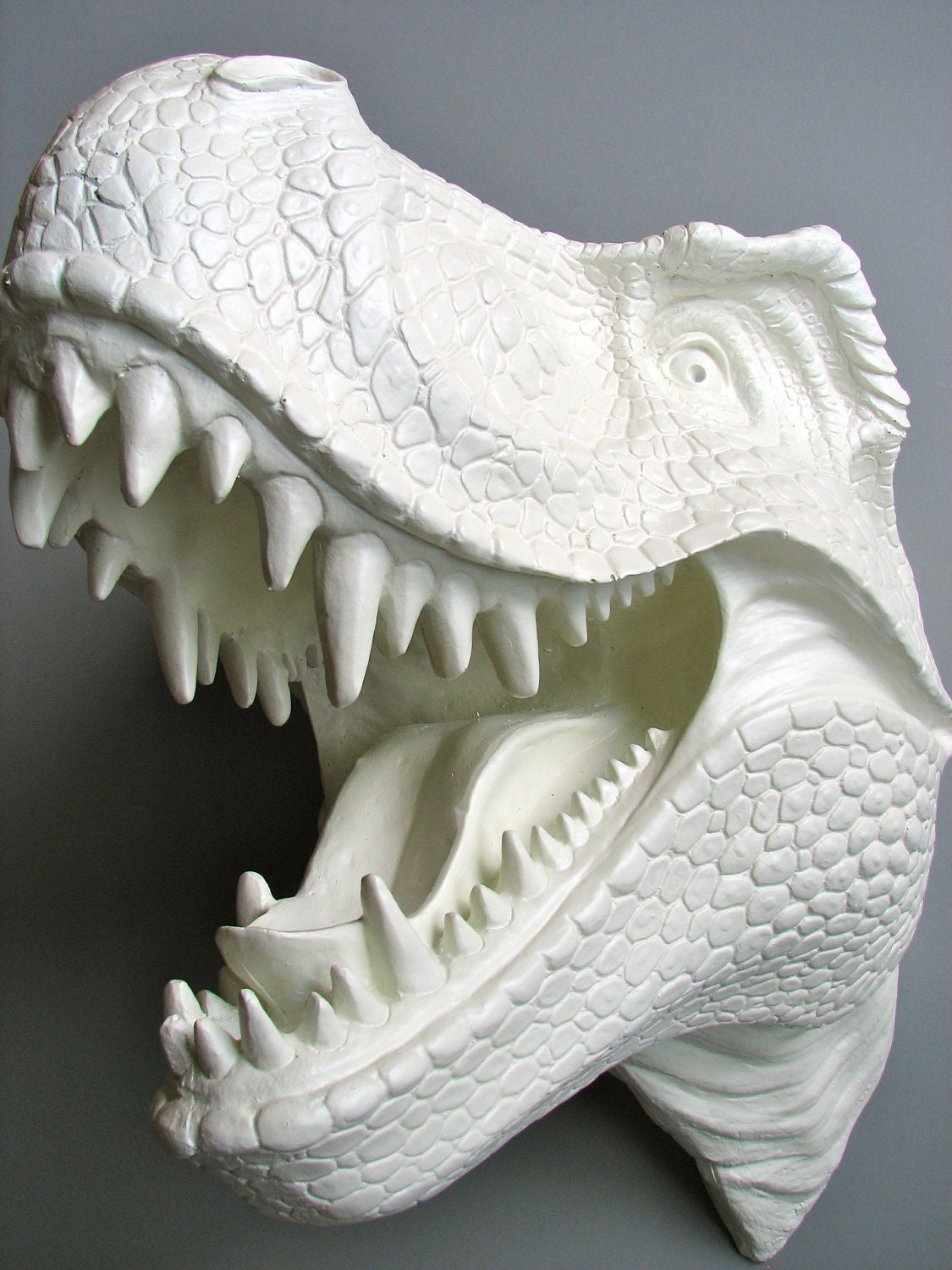 RESERVED 4 DEBORA R Faux Taxidermy T Rex Dinosaur Head Wall Mount: Toby the T Rex