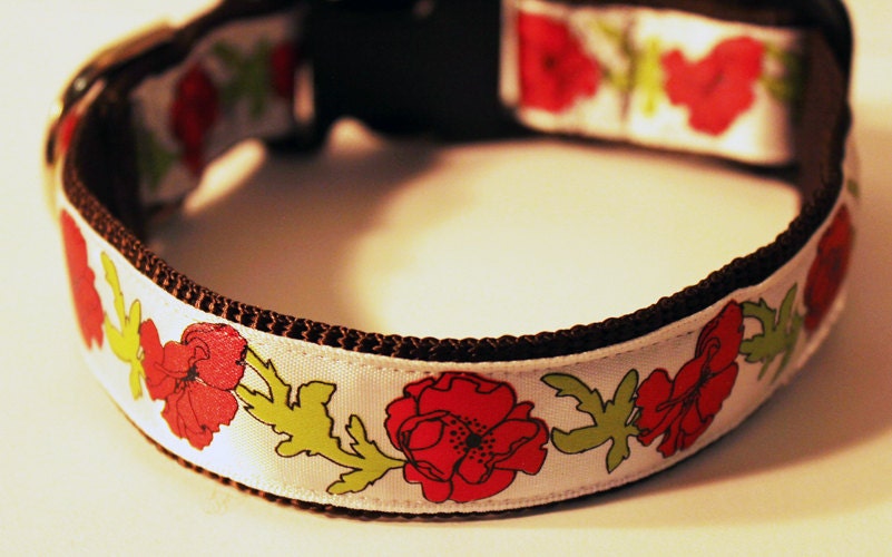LAST ONE- Flower Dog Collar- Red Orange Poppies 1" Floral and Feminine