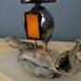 Reserved for Ewa - Owlberto The Wise - Camera Owl Robot Lamp Assemblage