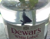 Dewar's Scotch  / Fish Bowl / Betta Bottle Habitate/ Sea Glass/ Aquatic Bamboo/ Mondo Grass