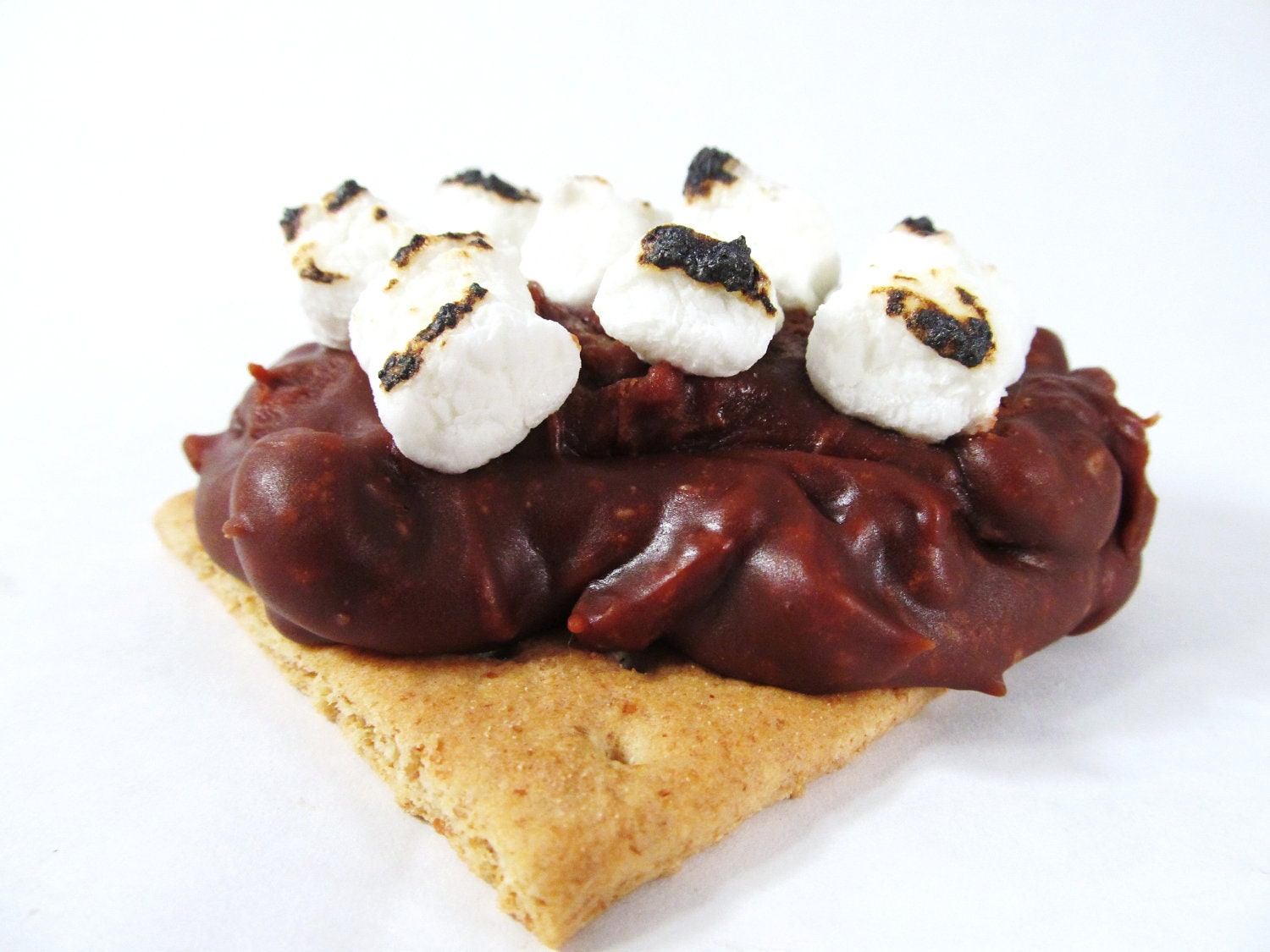 S'mores Praline - 1 dozen