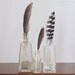 Vintage bottles with feathers. Natural history collection.