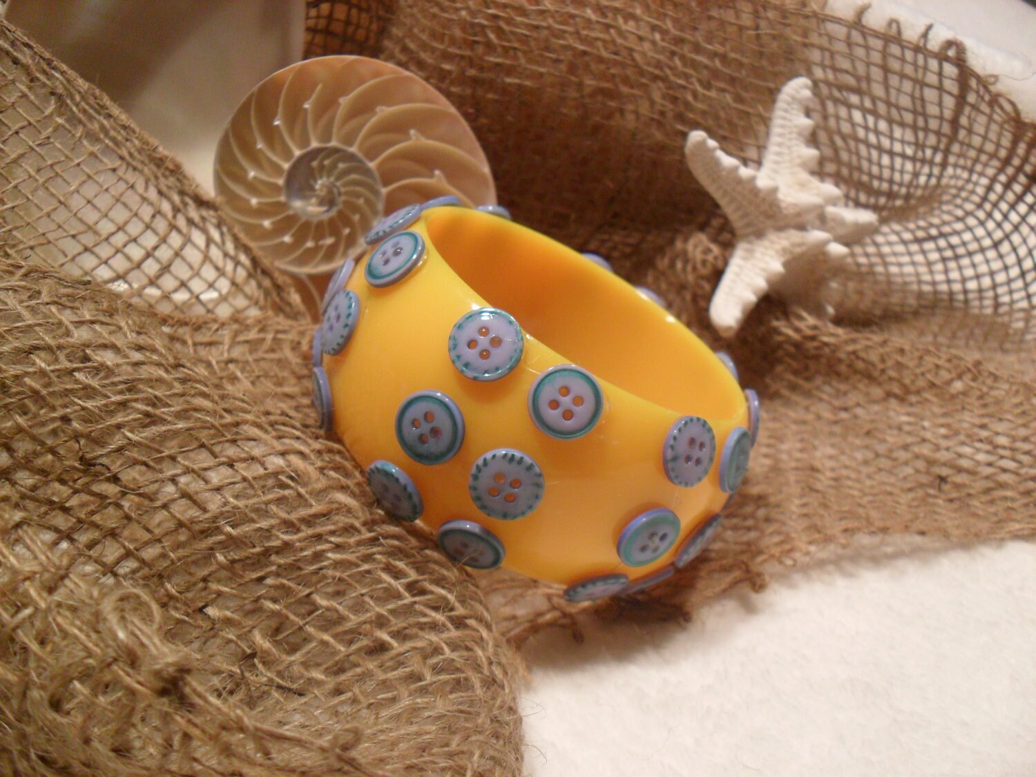 Yellow Sea Urchin
