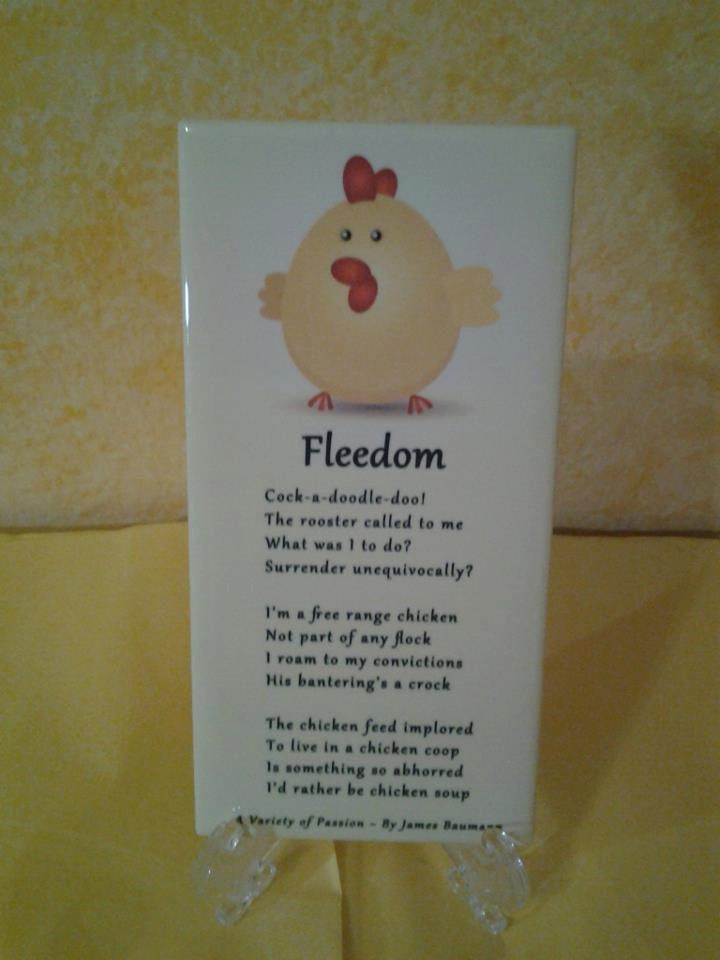 Fleedom by James L. Baumann