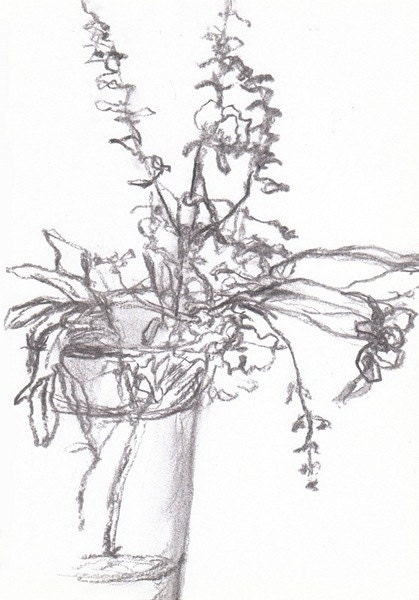 Dying Roses - drawing in vine charcoal