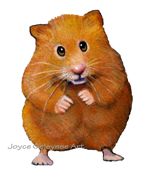 hamster clipart free