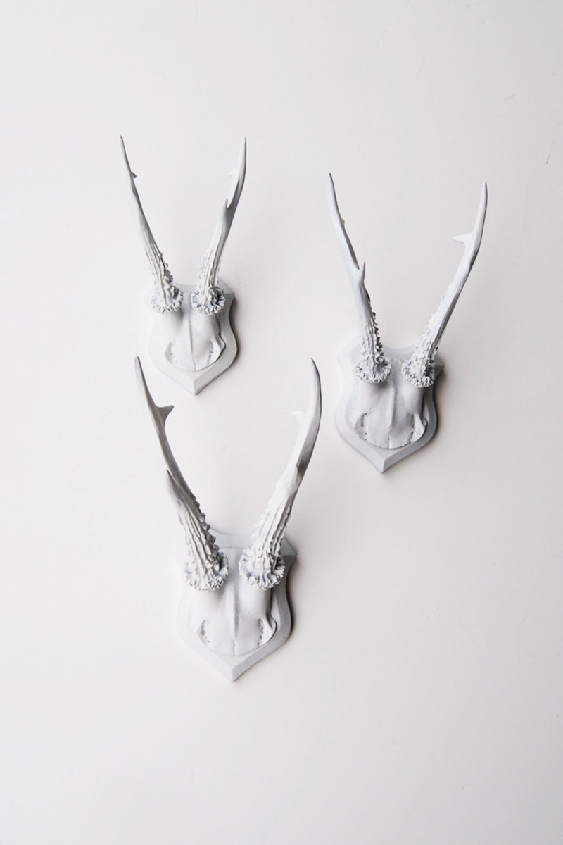 Faux Deer Antler Skull Caps - Faux Taxidermy - Set of 3 White Resin Deer Caps - Mounted Deer Antlers