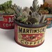 Vintage Martinson's Coffee Tin Succulent Garden