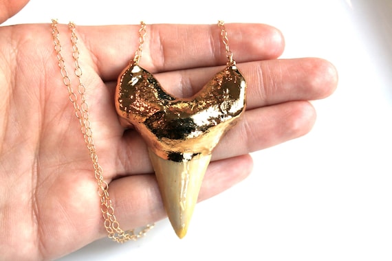 Gold Shark Tooth Necklace. Extra Large on 30 inch Gold Filled Chain CHOOSE YOUR TOOTH