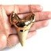 Gold Shark Tooth Necklace. Extra Large on 30 inch Gold Filled Chain CHOOSE YOUR TOOTH