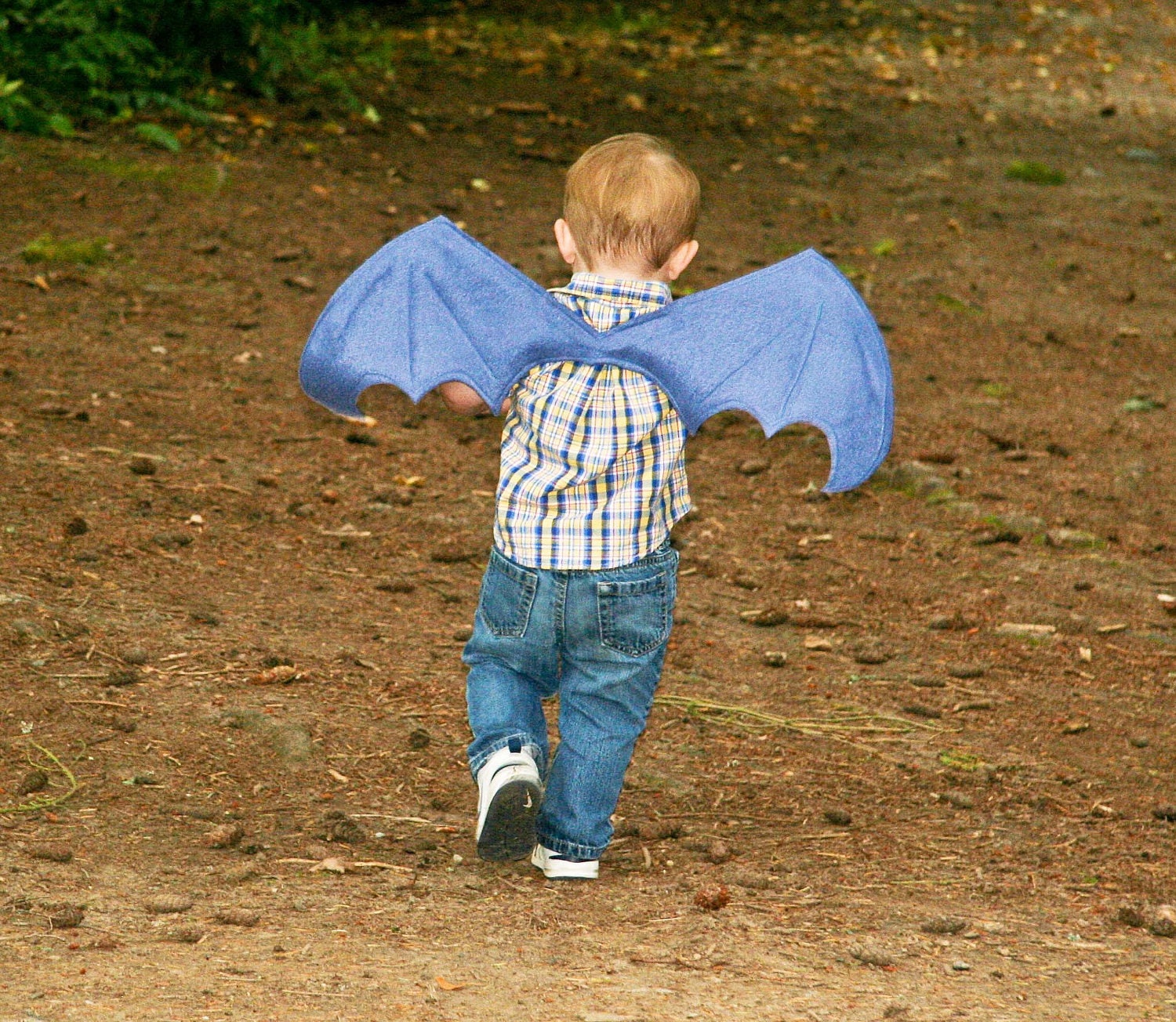 Dragon Wings