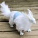 Posable White Pearl Dragon Art Doll