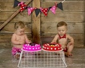 Mickey Mouse and Minnie Mouse Twins First Birthday Cake Smash Set - Diaper Covers and Bow Tie - Leg Warmers and Banner Available