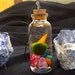 Baby Marimo pet moss ball in bright seashell terrarium necklace