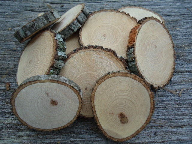 12 qty 2" hickory rustic wood slices for crafts, candles, decoration, blanks, rustic weddings