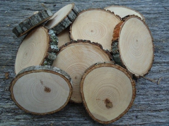 100 qty 2 hickory wood slices for crafts by churchhousewoodworks 100 qty 2 hickory wood slices for crafts by churchhousewoodworks