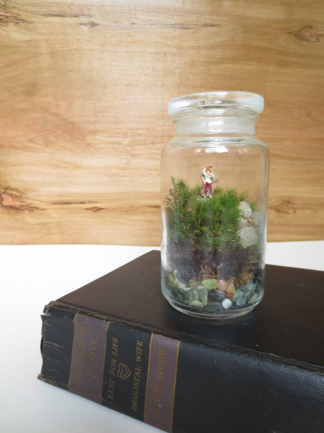 Young Love....Terrarium,  Young Couple Figure in Tiny Terrarium Jar, Moss Terrarium, Terrarium People,Lovers in Terrarium