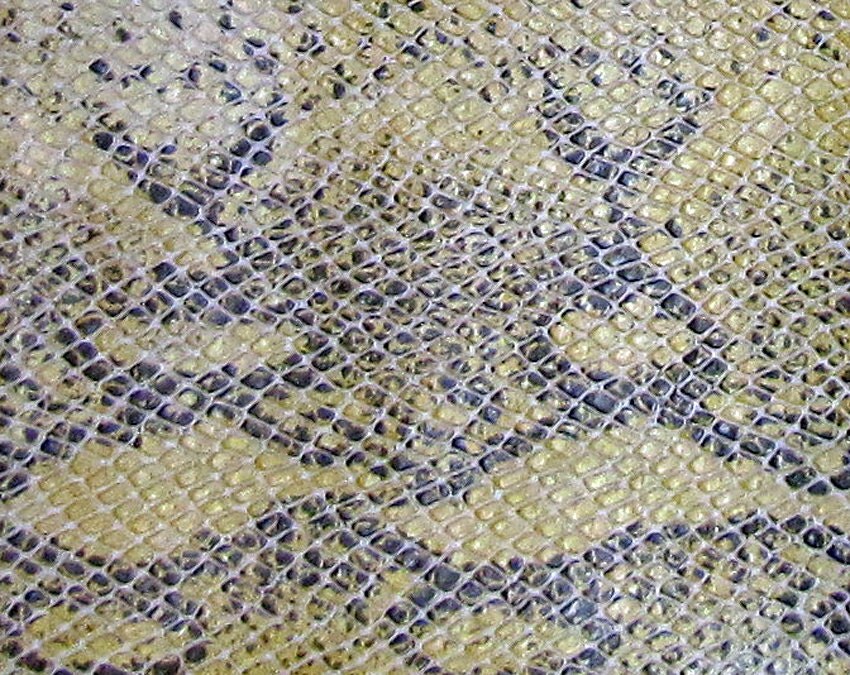 Reptile Fabric