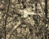 Arch Frame Print 8x10