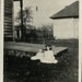 vintage photo Little Girls Dolls Margaret and Jane Set out on Lawn