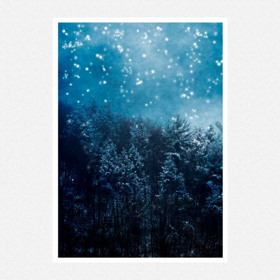 Nature Photography, blue, white, snow, pine forest, mountain,  winter home decor, Blue Mountain Pines, fine art photography print 8x12