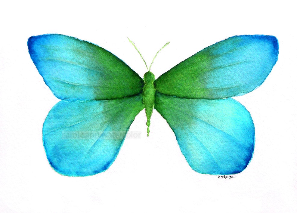 watercolor  painting blue green butterfly archival print - carolsapp