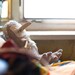 Fidji - White Kiwi bird , soft art toy creature by Wassupbrothers