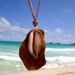 Hawaiian Amber Brown Beach Glass & Cowry (cowrie) Shell on Thin Durable Genuine Leather Cord Necklace