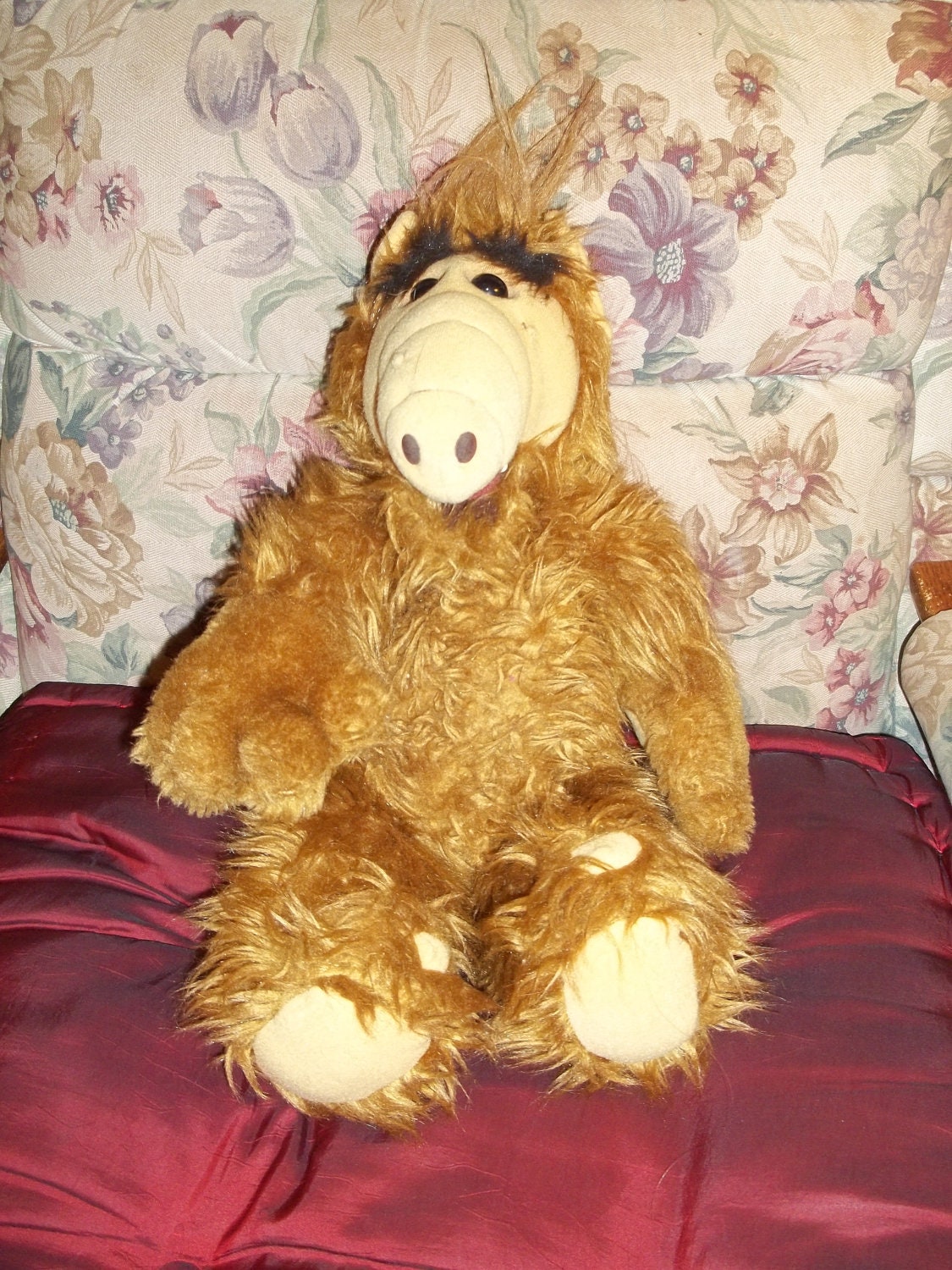 Alf Alien