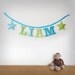 Handmade 'LIAM' Fabric Garland
