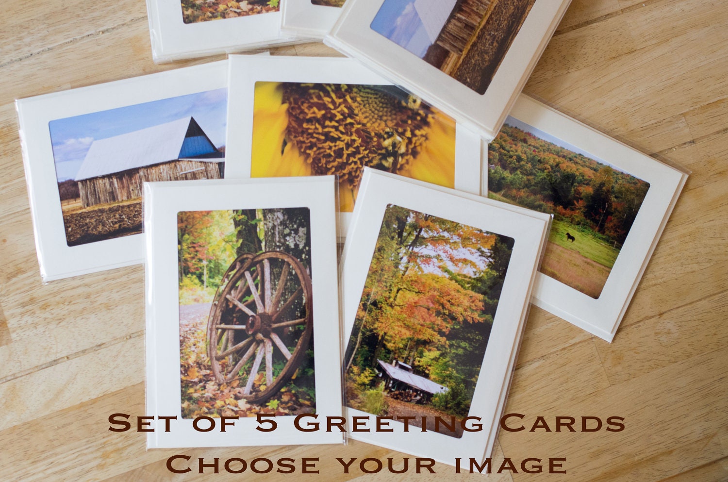 Box Set of 5 Photo Greeting cards