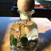Nano Marimo Balls in Tiny Petite Zen Pet Terrarium