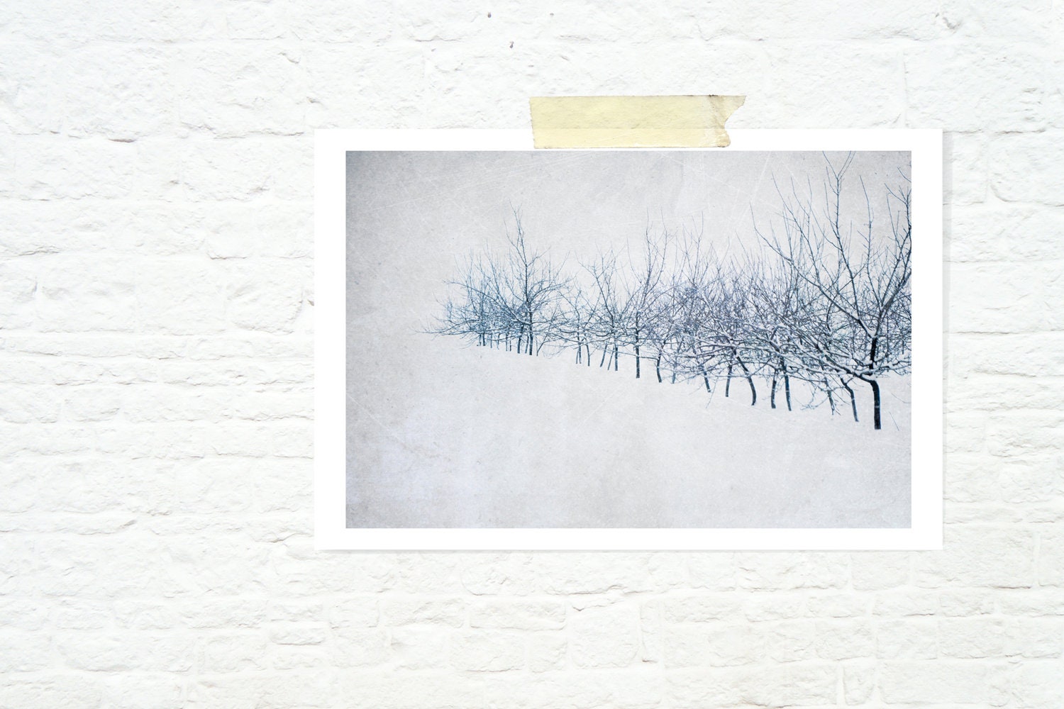 winter photograph minimalist art tree nature print home decor white cool blue - L'hiver - JaneRovers