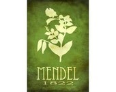 Steampunk Science 24x36 Art Print - Gregor Mendel Genetics Rock Star Scientist Poster